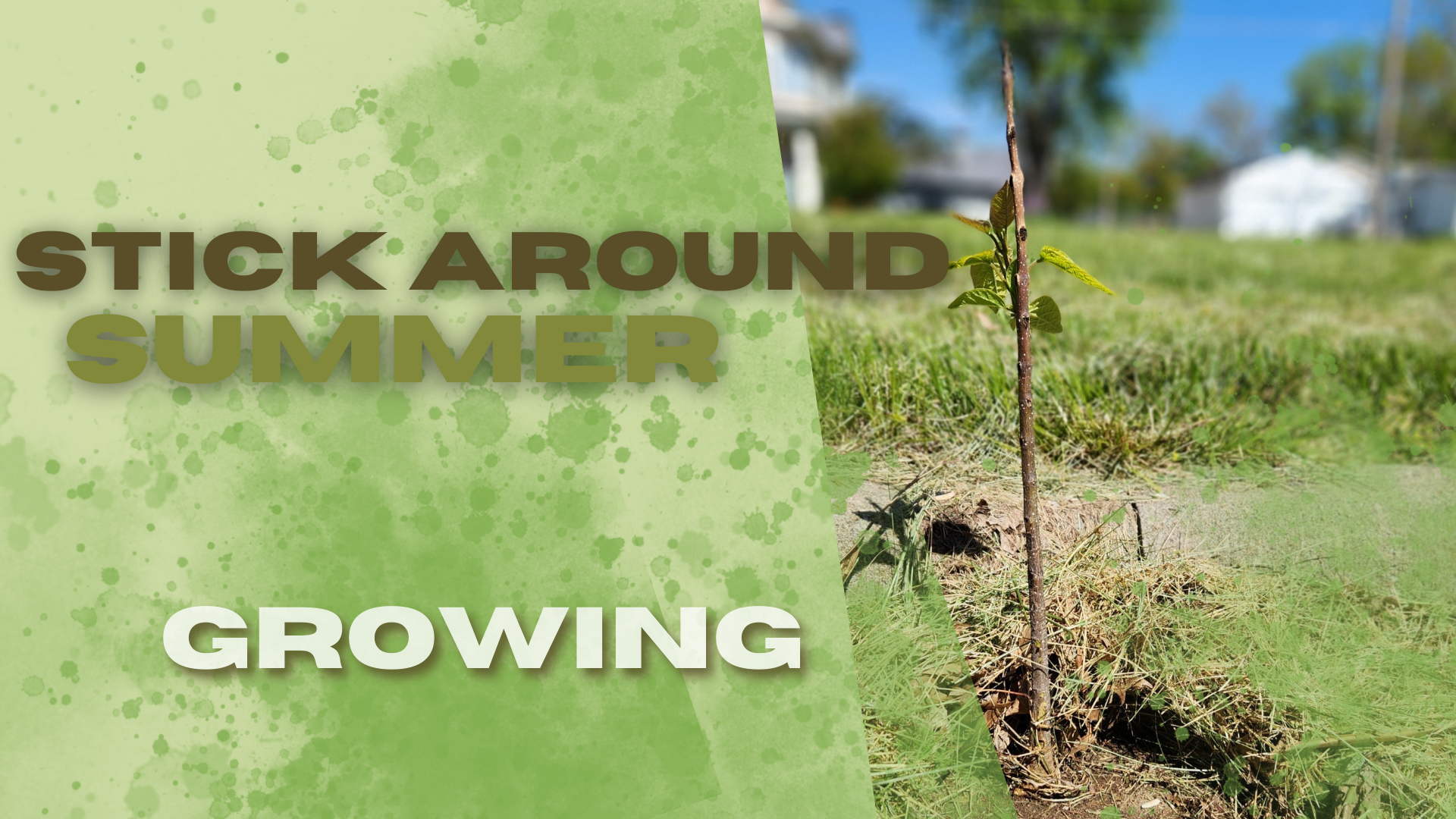 Growing | Part 1