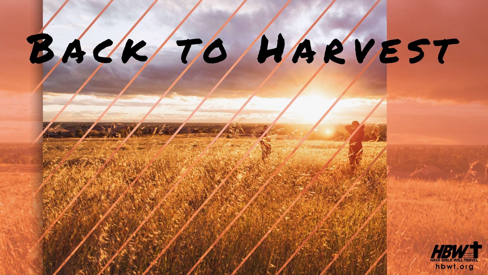 Back to Harvest | Pt 1